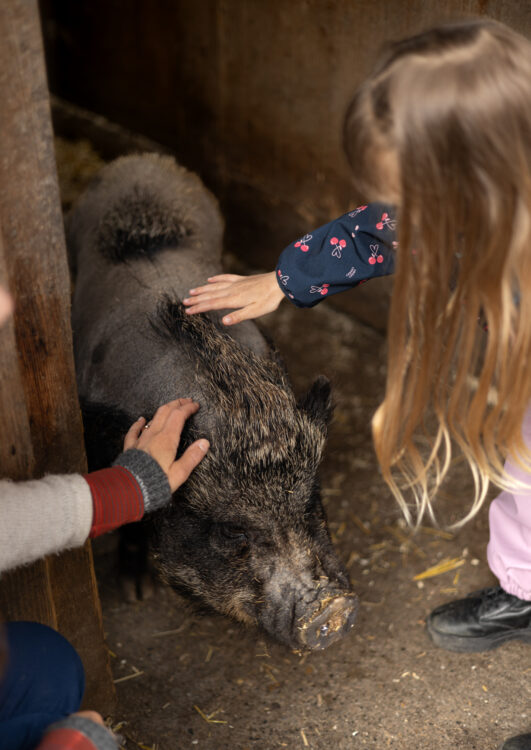 Kulturhof Hinter Musegg